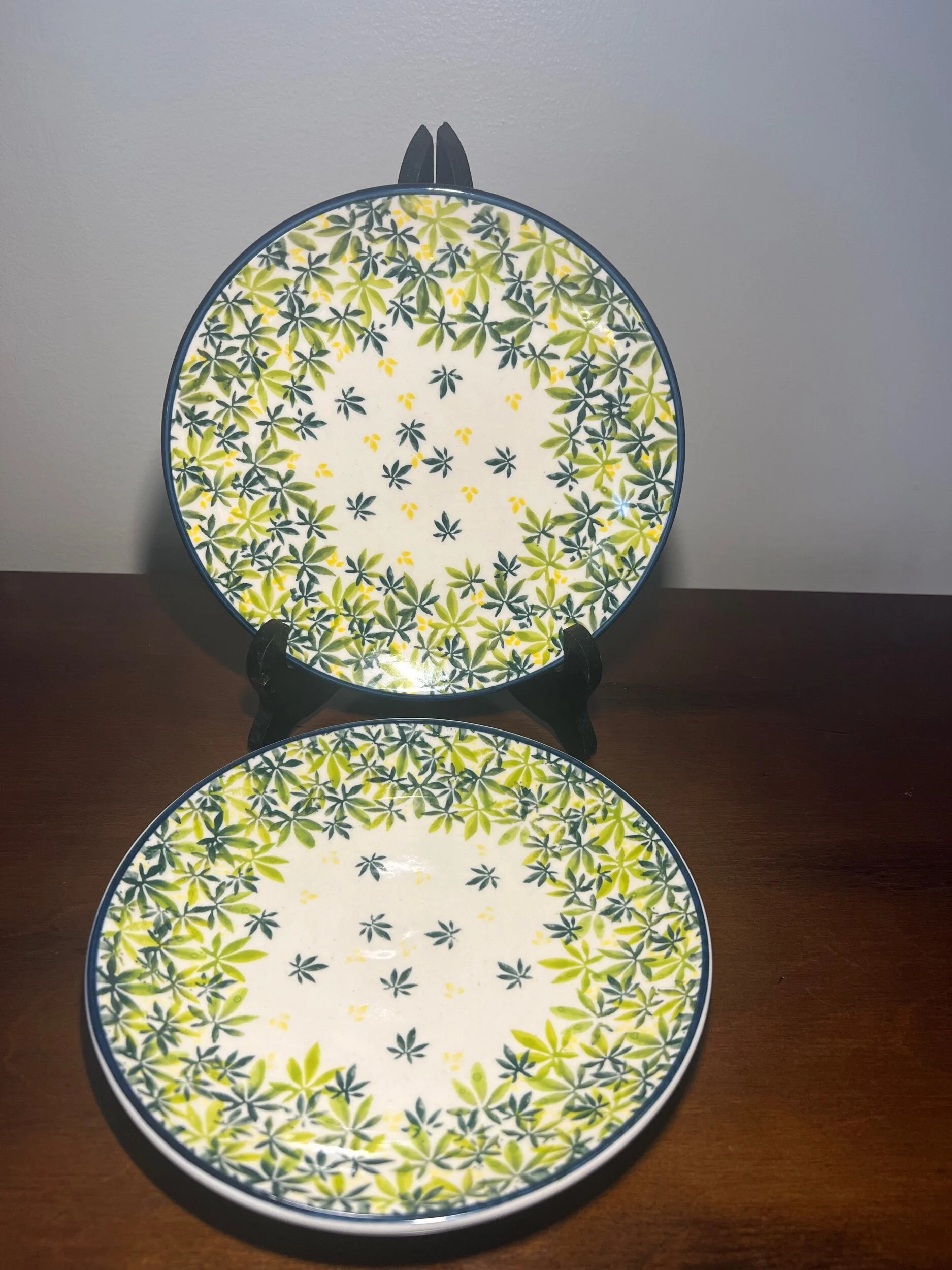 FB2009E2-6524-4EF7-9617-8768917AB421