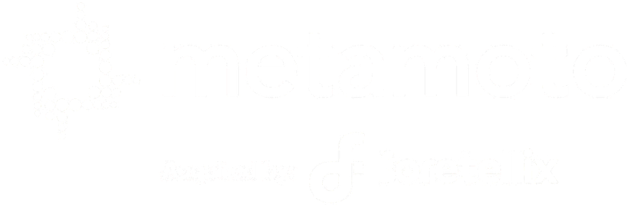 Metamoto