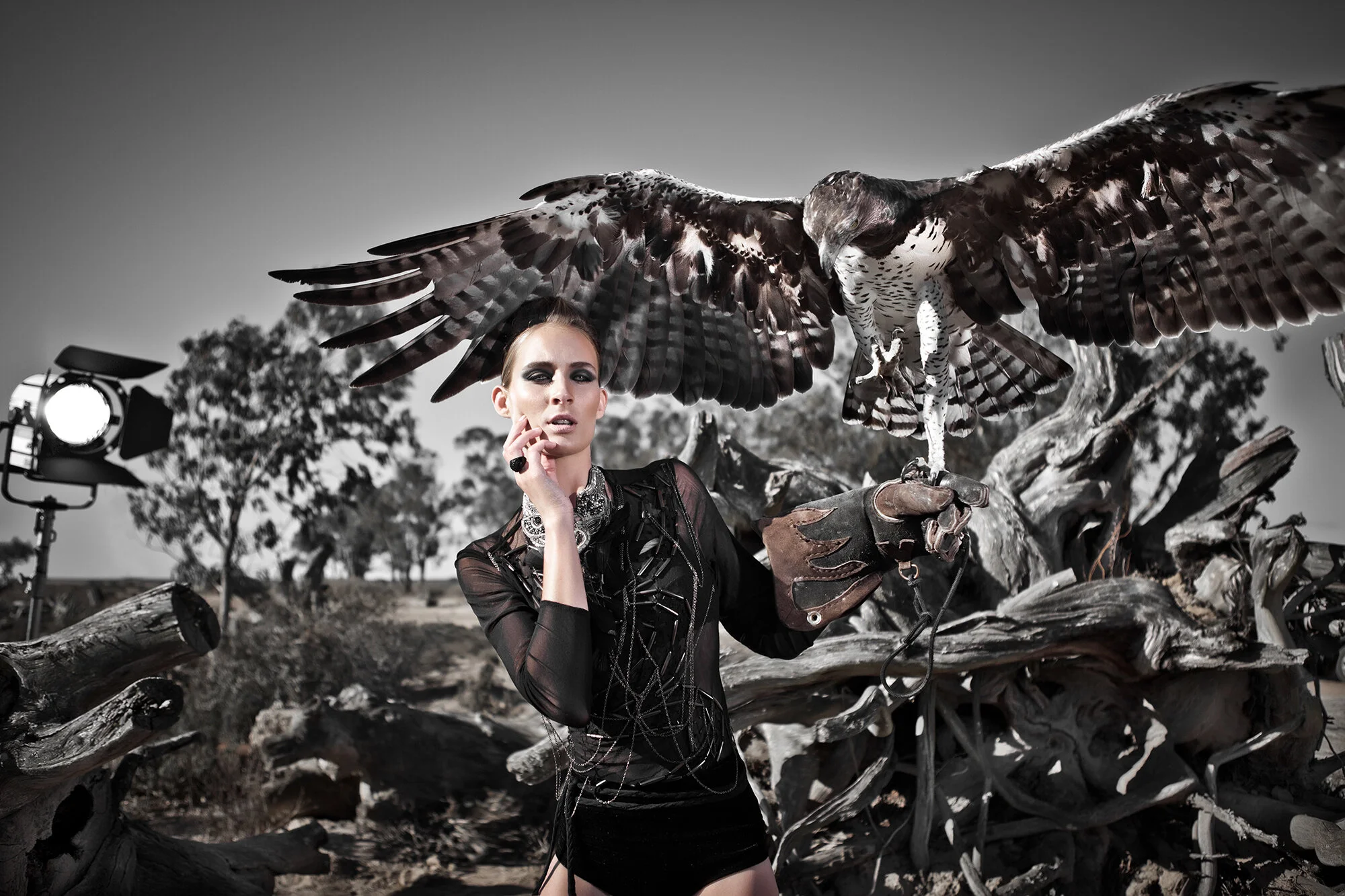 Eagle