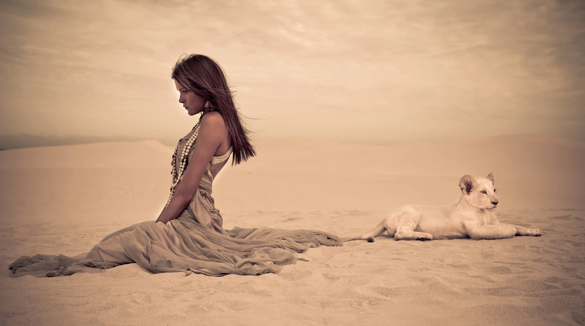 A day on the Dunes