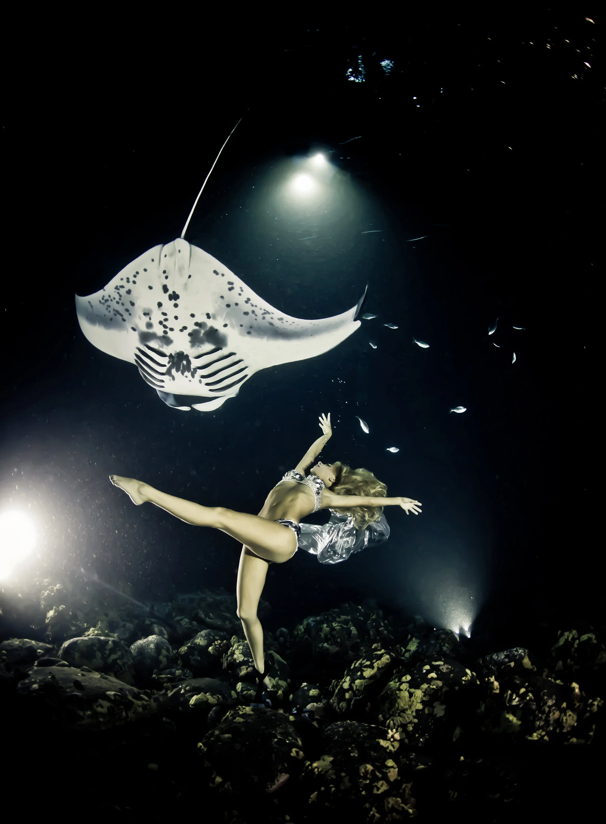 Manta