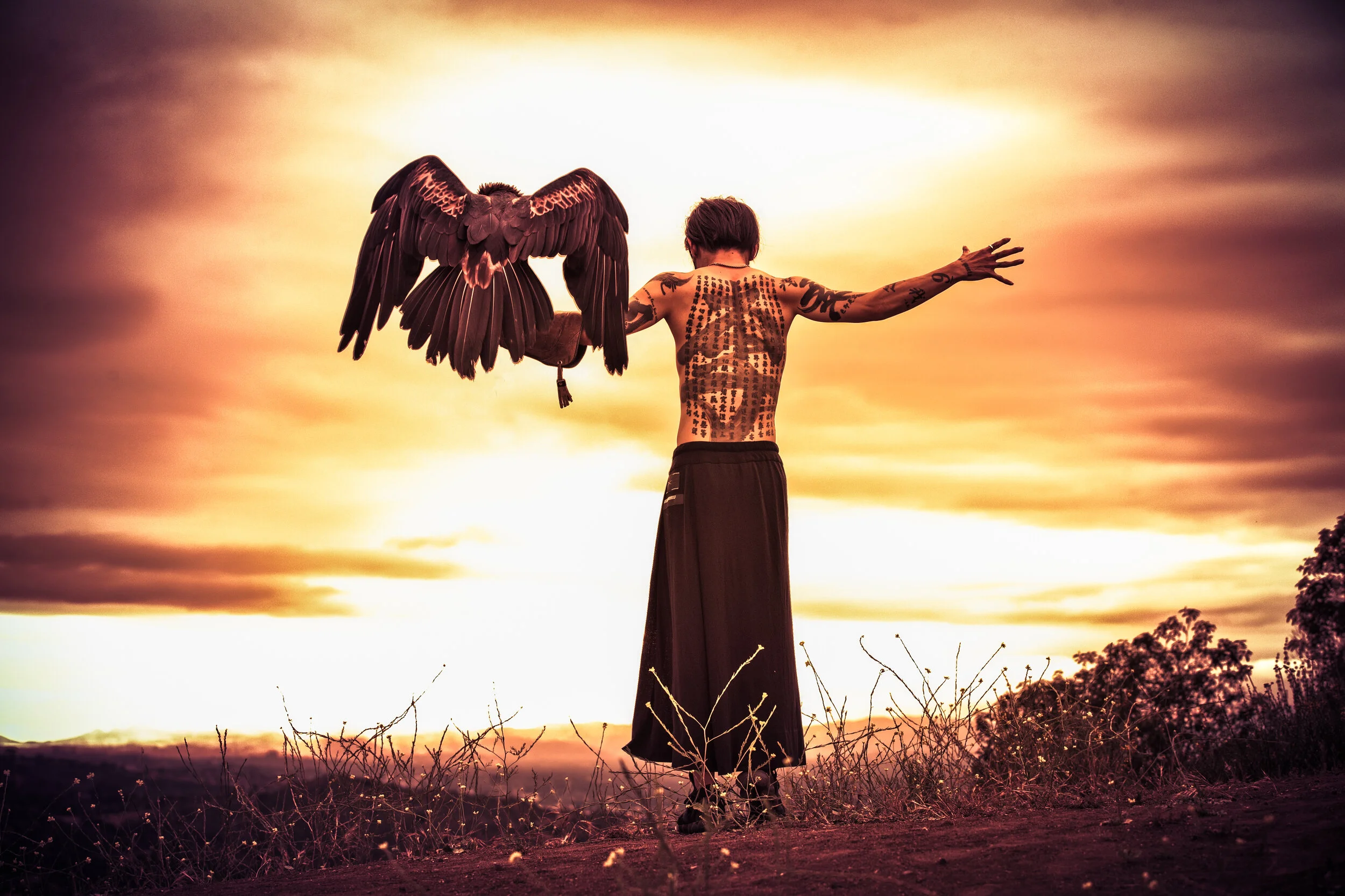 Miyavi "Take Off"