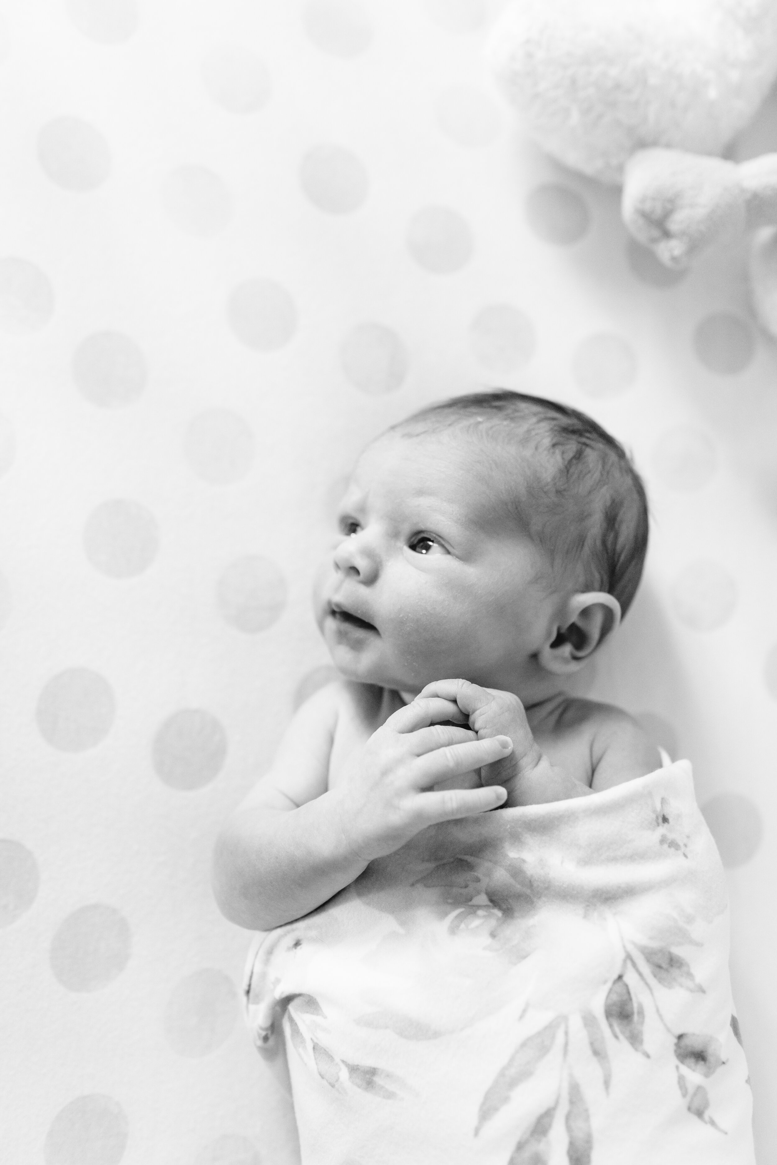 EllisonNewborn-63.jpg