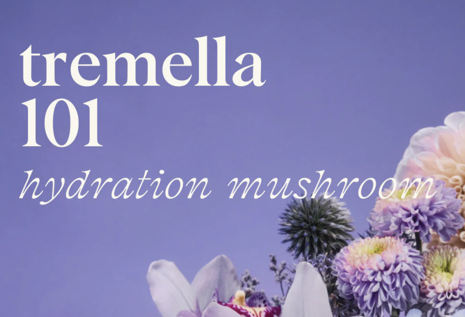 Screenshot 2026-03-17 at 10.52.14 AM.png