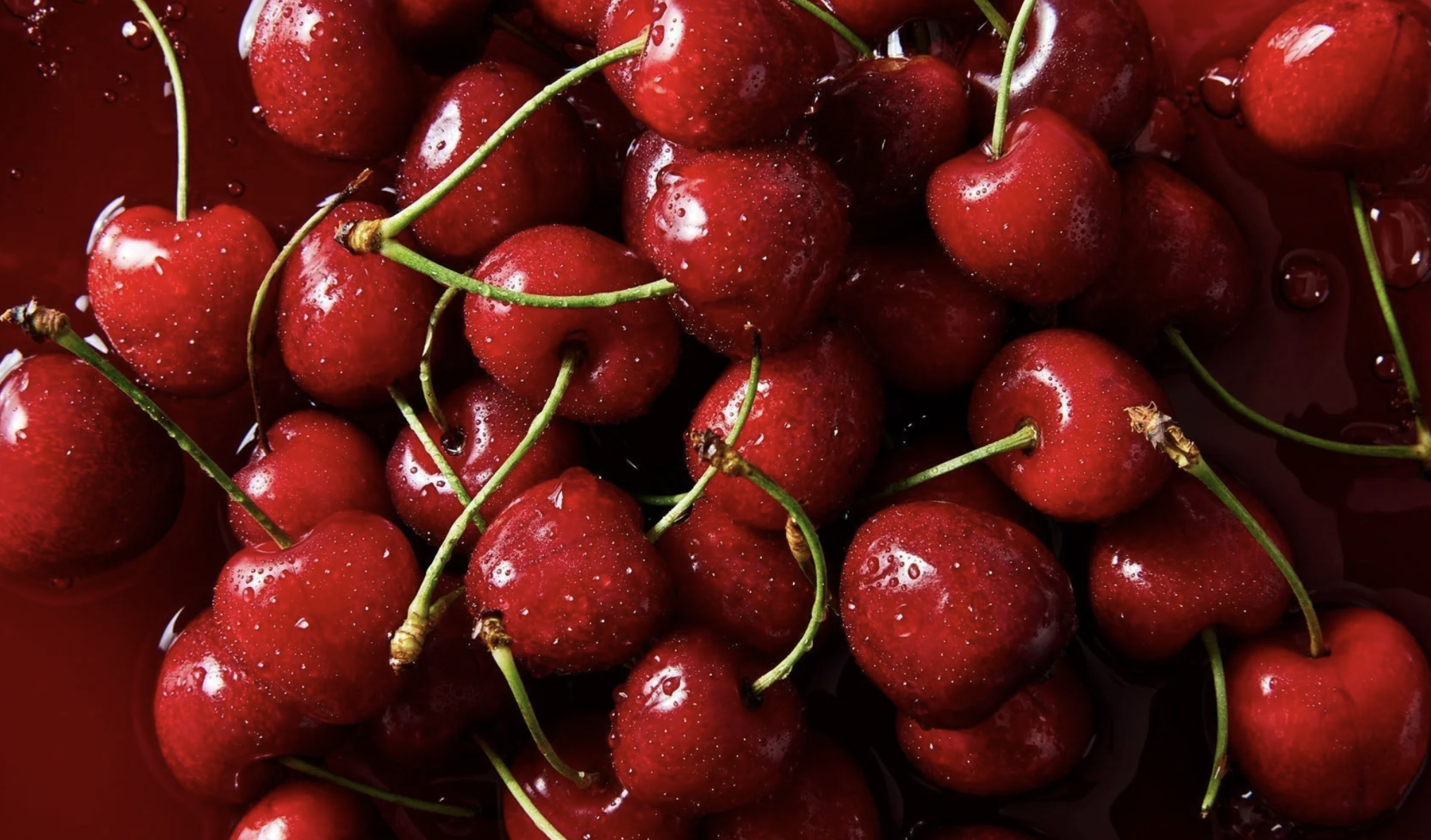 Screenshot 2026-03-17 at 10.53.51 AM.png