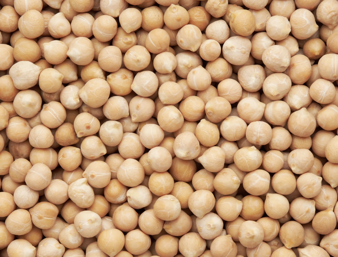 Screenshot 2026-04-01 at 7.07.59 AM.png