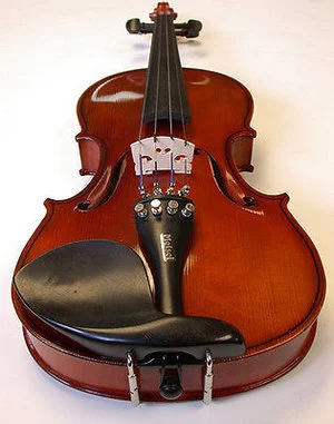 Stock+Viola+Photo.jpg
