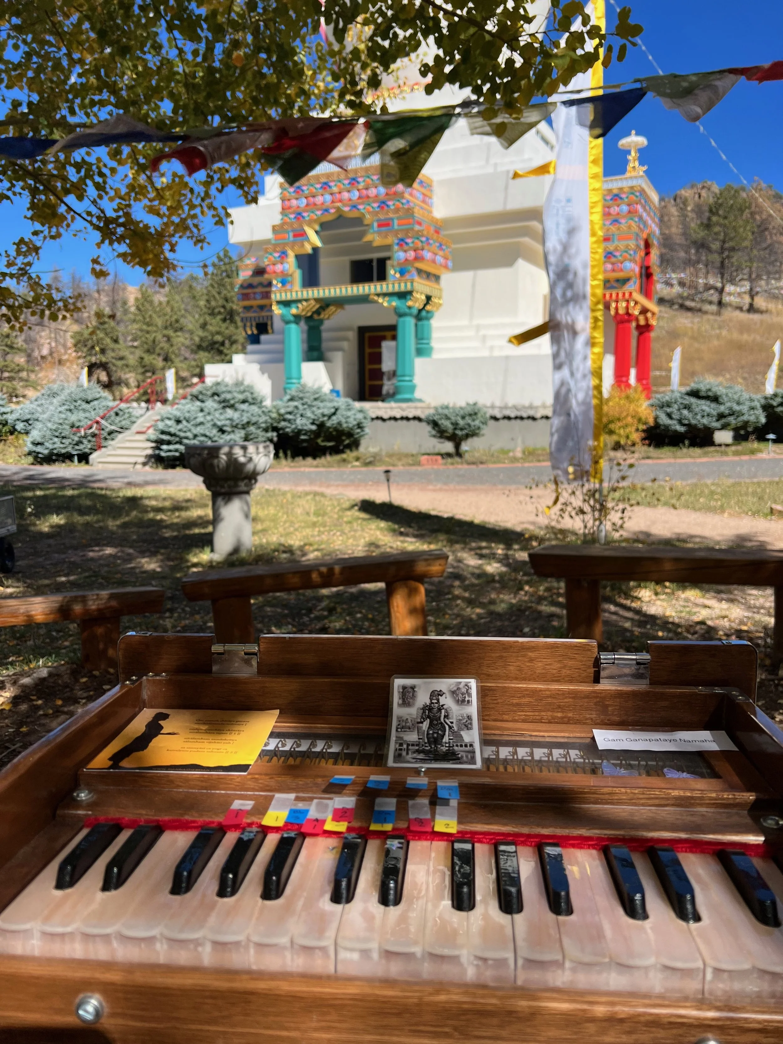 Summer Solstice Retreat to Drala Mountain Center