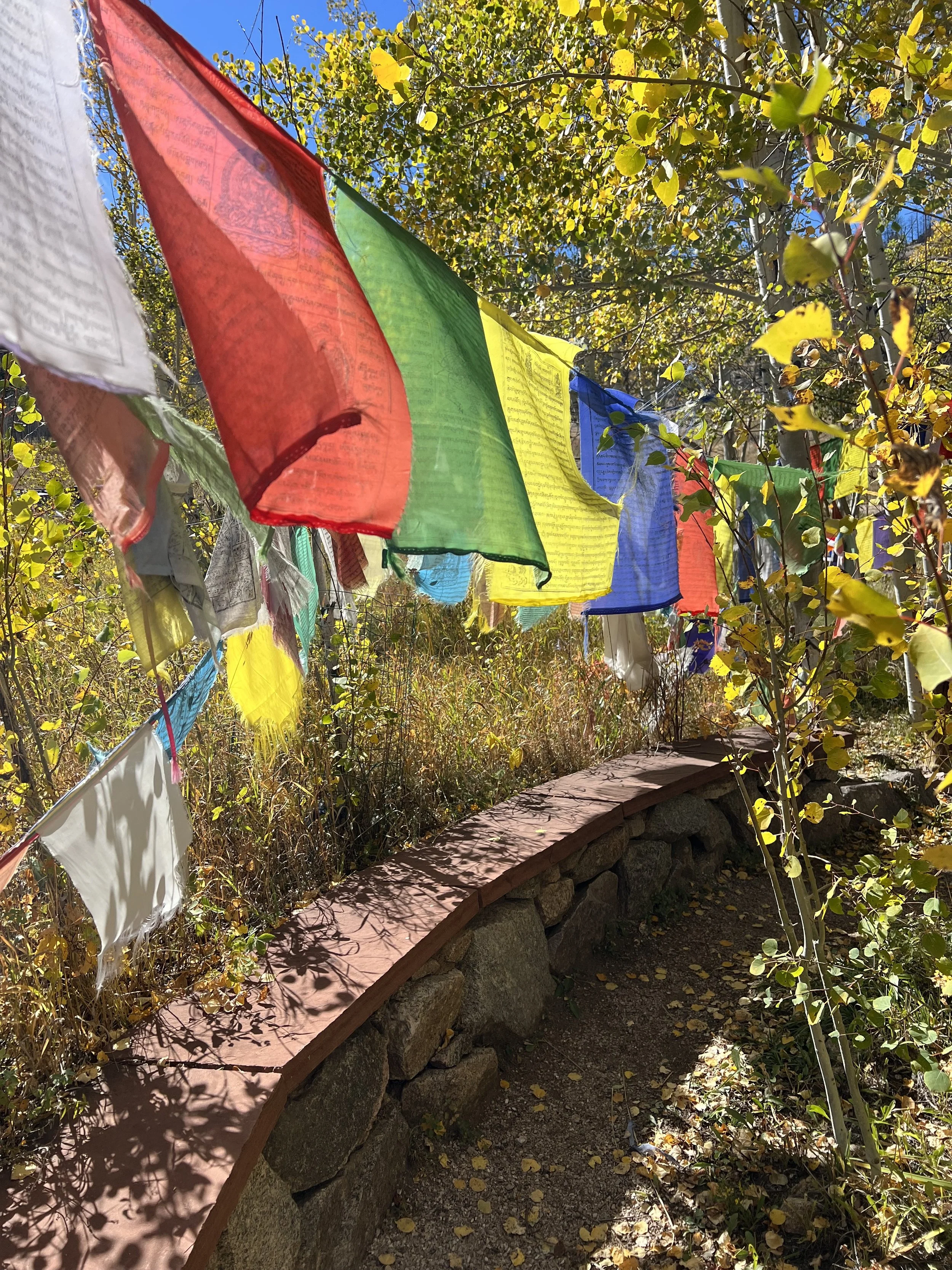 Fall Yoga Retreat at Drala Mountain Center