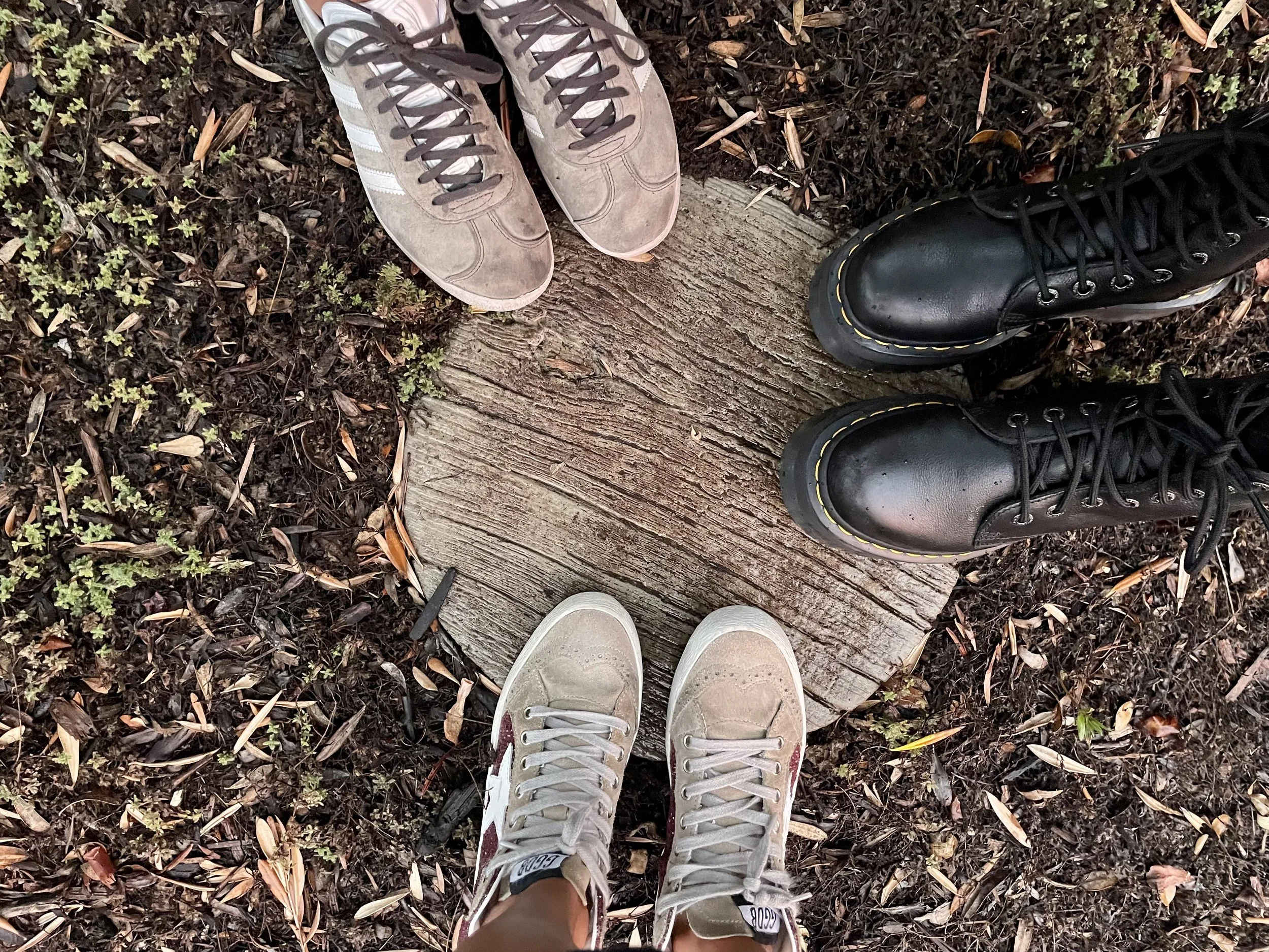 Nourishing our Neighborhood: Yogis raising neighbors to reduce Carbon Footprint