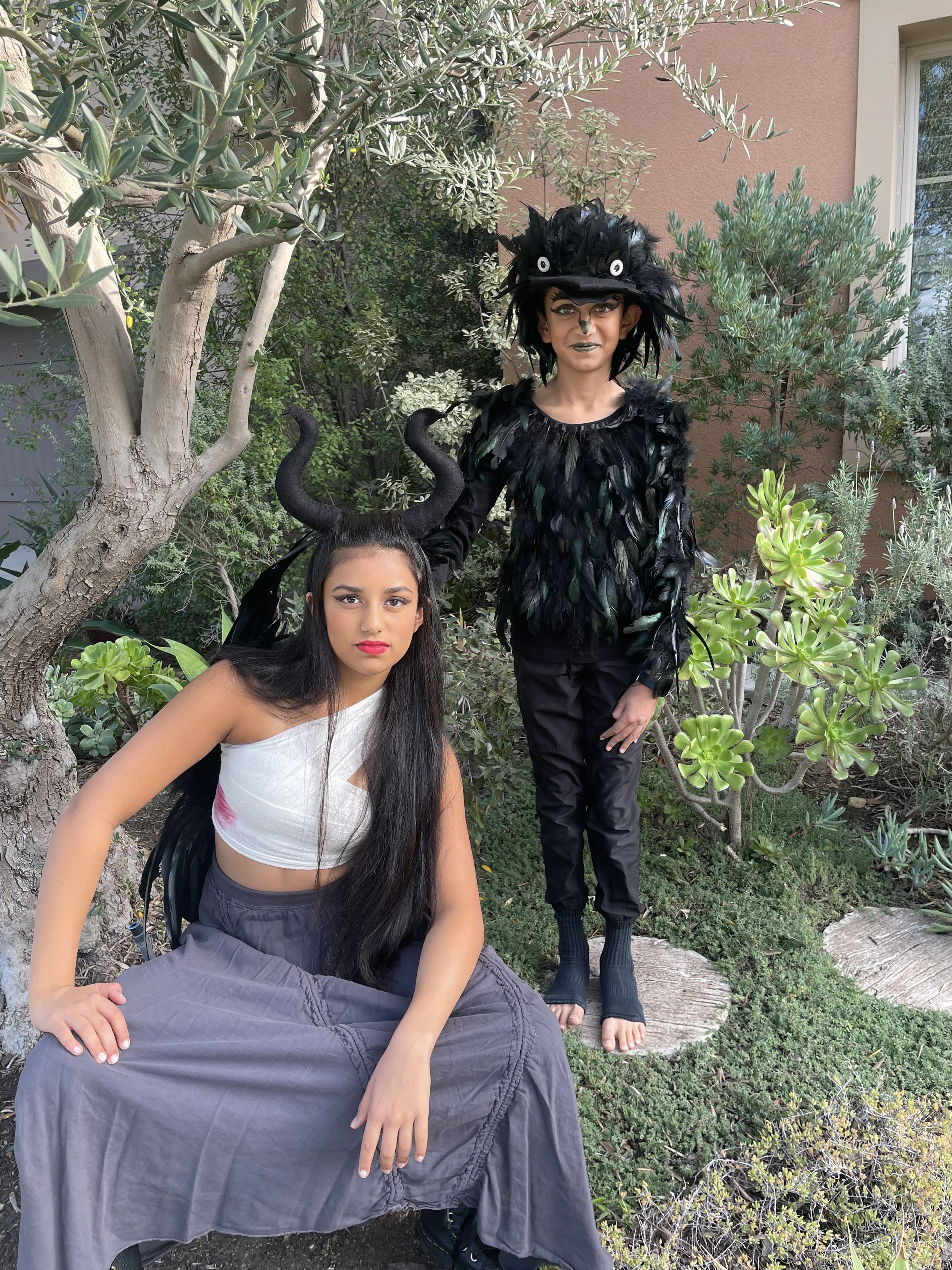 Anti-Heros, Heros, and Sidekicks - Maleficent the Mistress of Evil