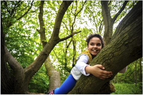 Angela Hanscom: Let kids get bumps and bruises playing outdoors