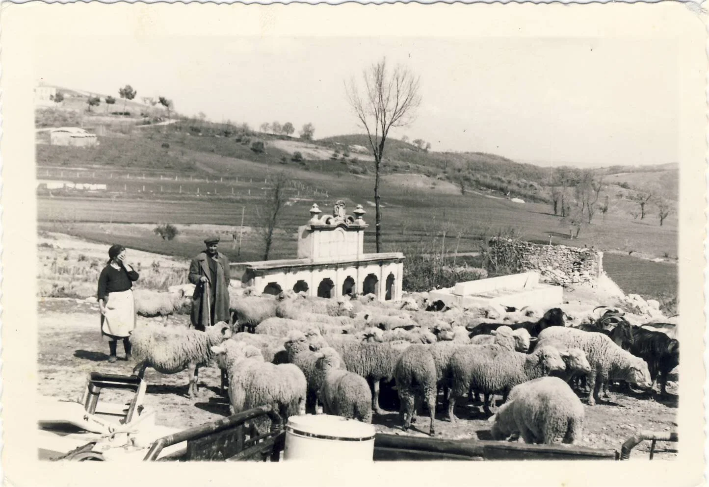 It Takes a Village to Create an Idiom