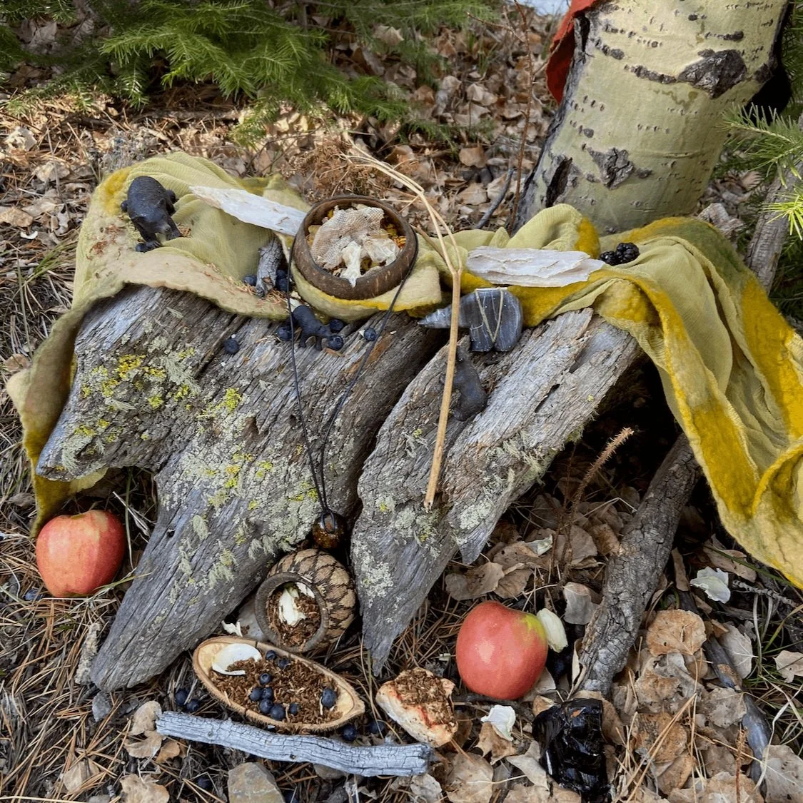 How To Make Your Osha Root Last For Generations