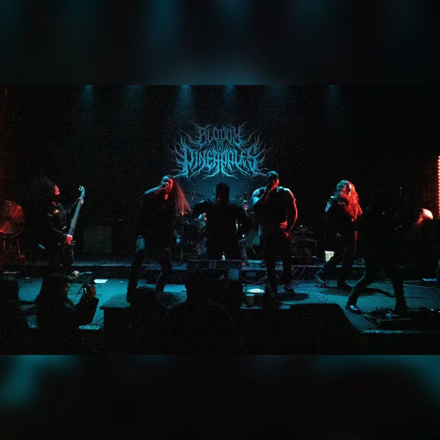 Had the chance to capture @bloody_pineapples_band this past weekend. Here's some of the shots. 

#metal #livemusic #concert #photoshoot #photography #darkspinmedia