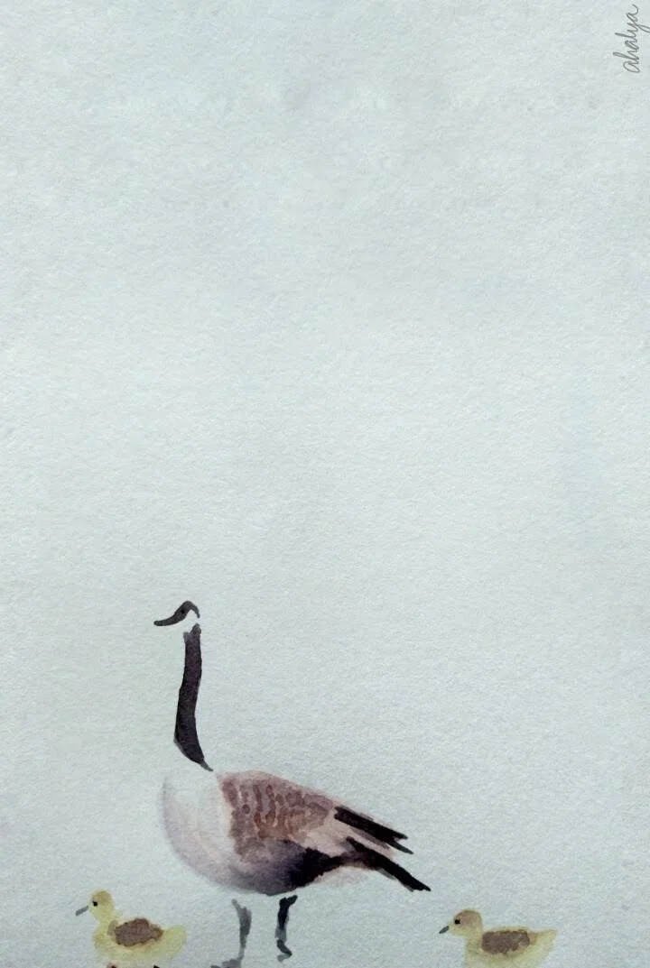 geese_original.jpg