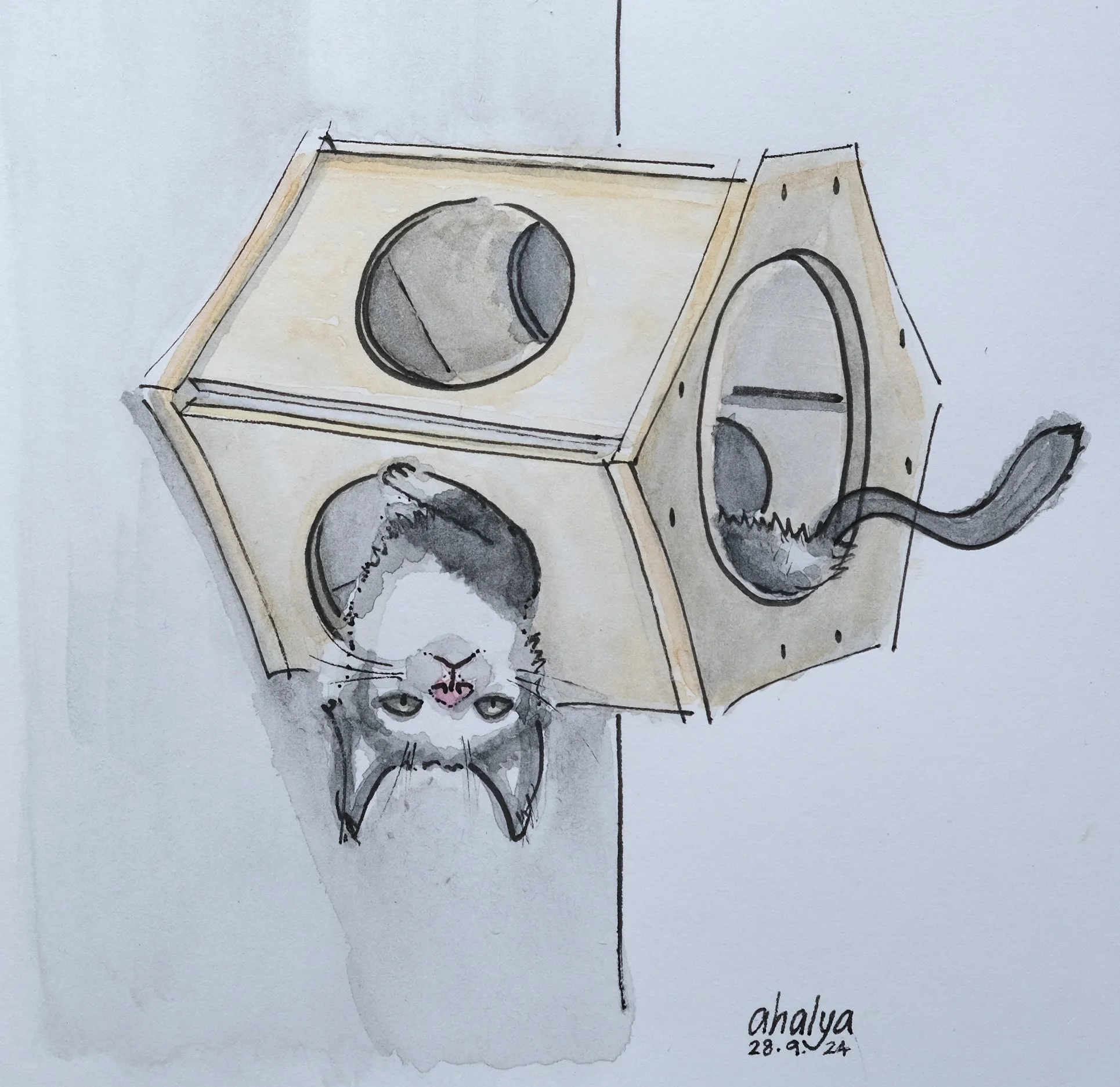 Cat_Shelter.JPG