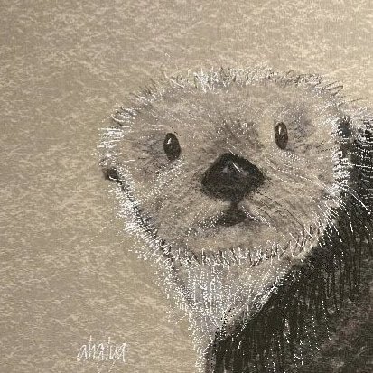 otter.jpg