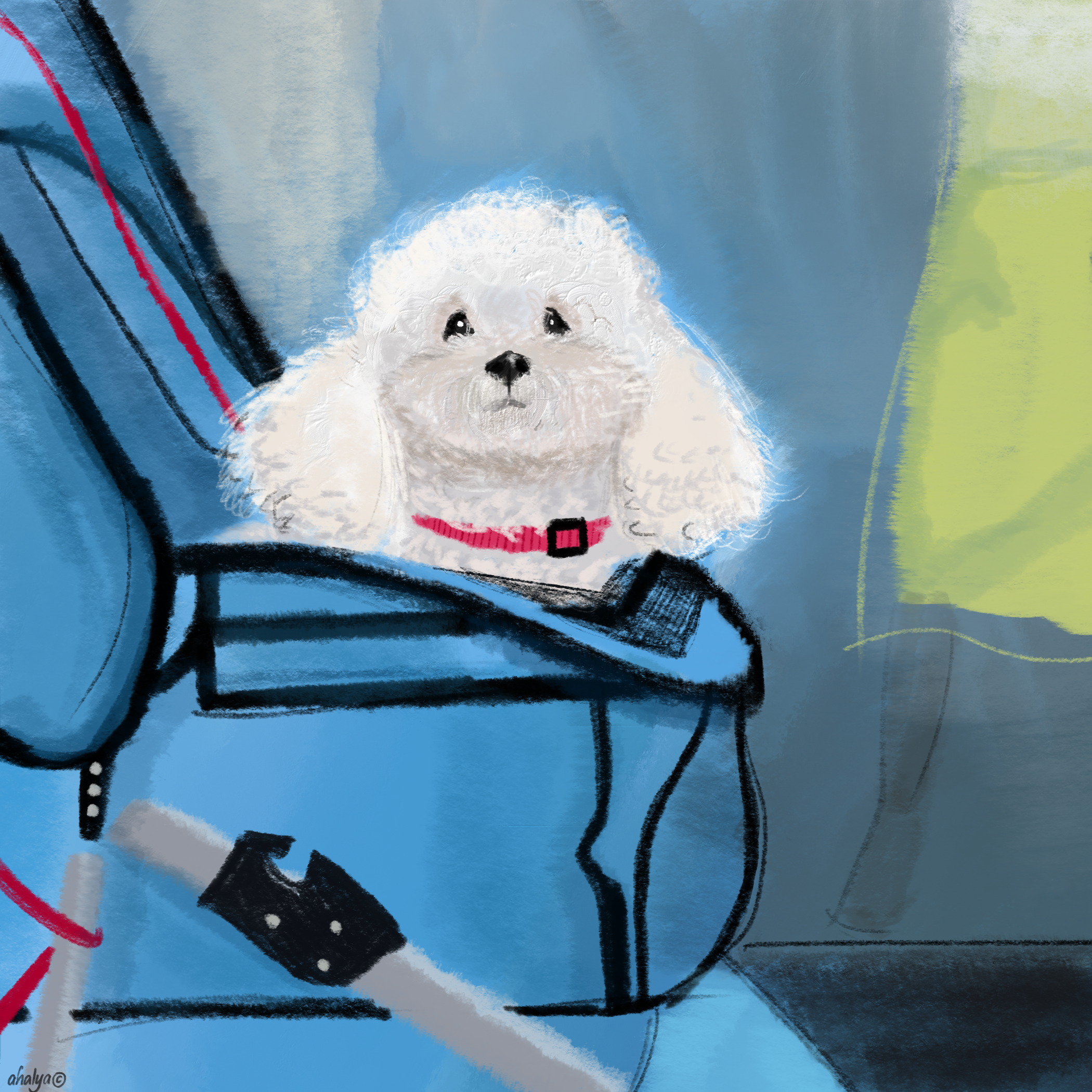 Outlet_Mall_Service_Dog.PNG