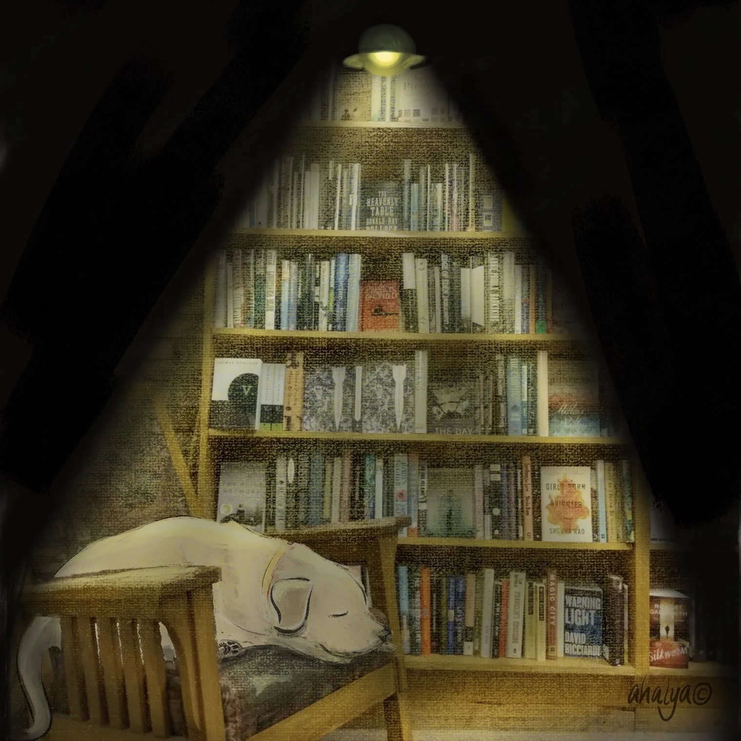 bookstore_dog.jpg