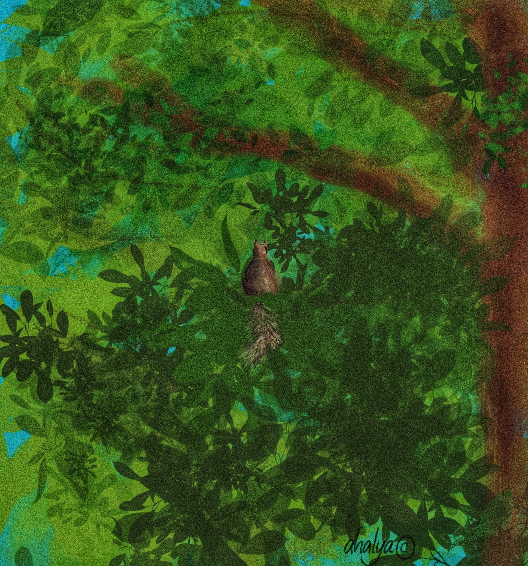 thoughtful_squirrel.PNG