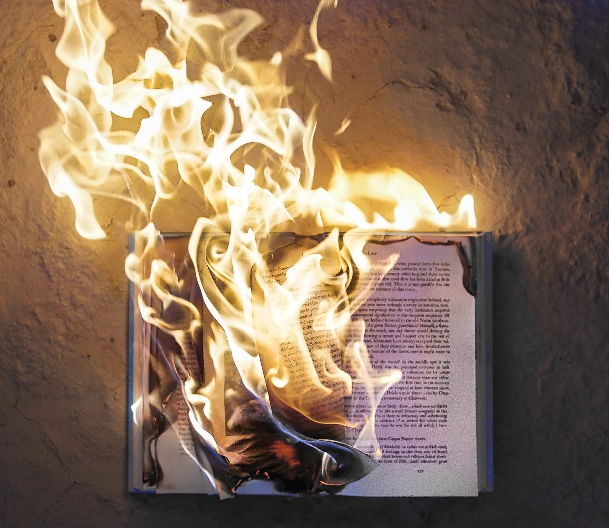 Did Coronavirus Kill My Book?
