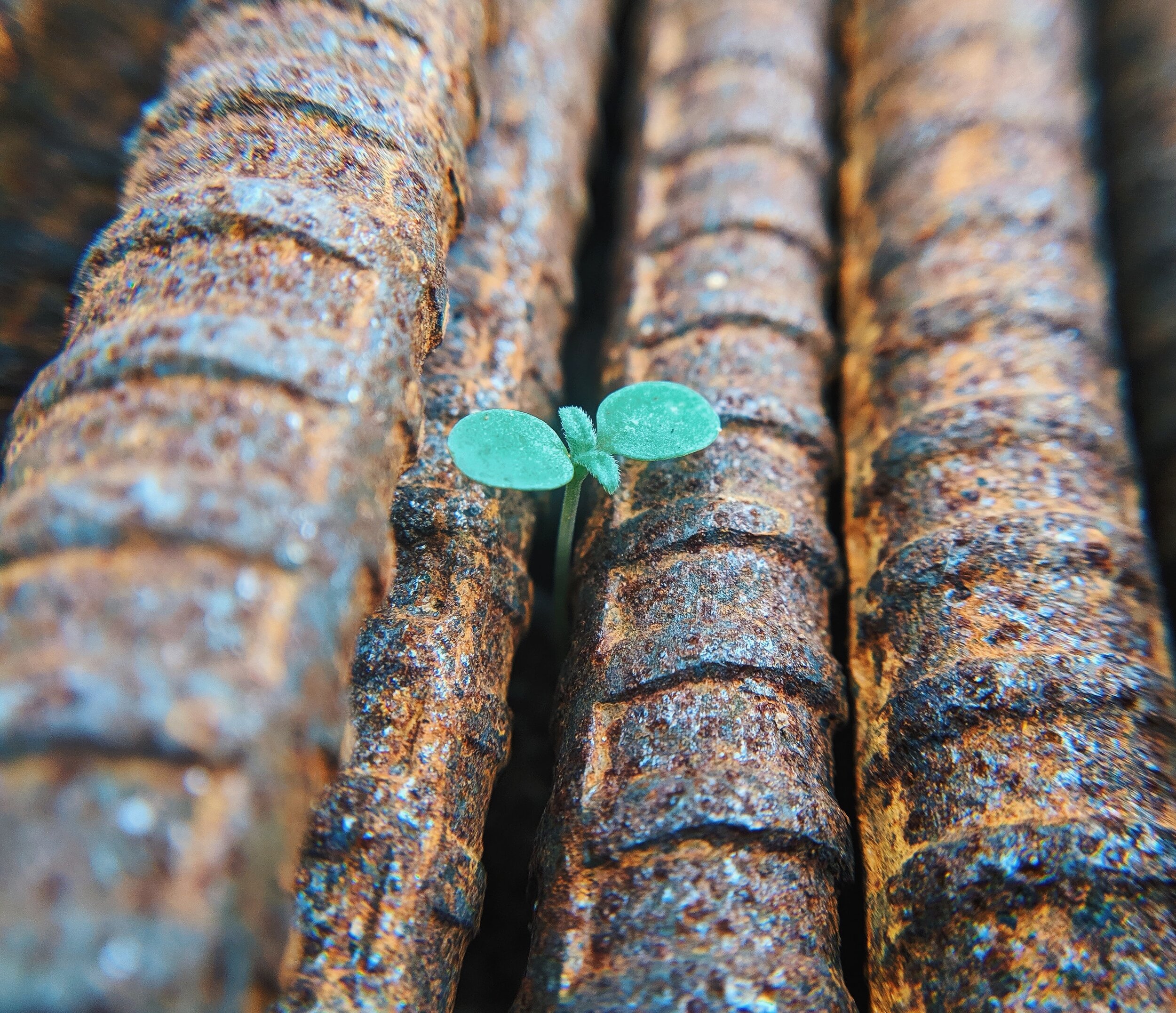 When the End Becomes a Beginning