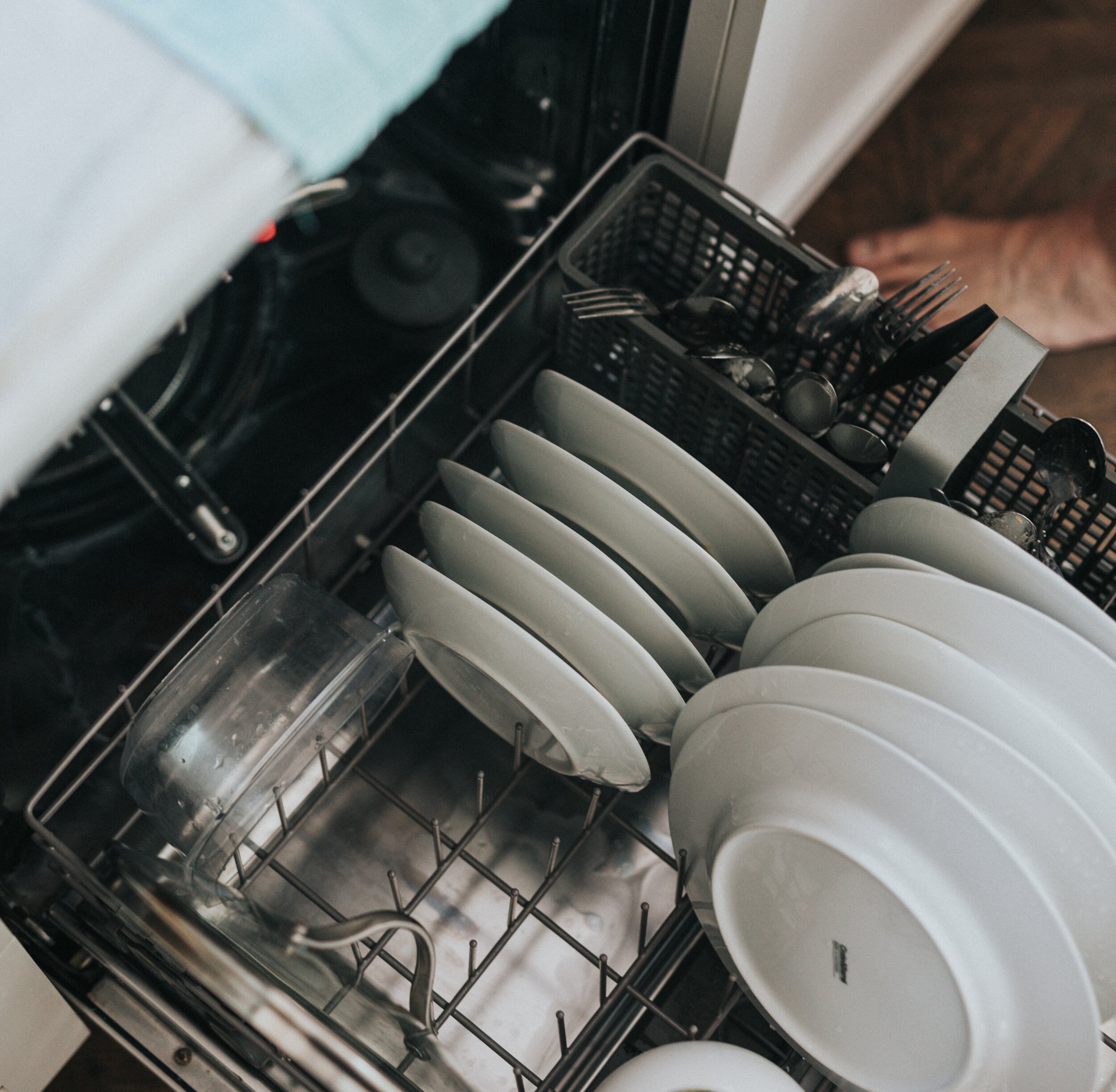 Domesticated