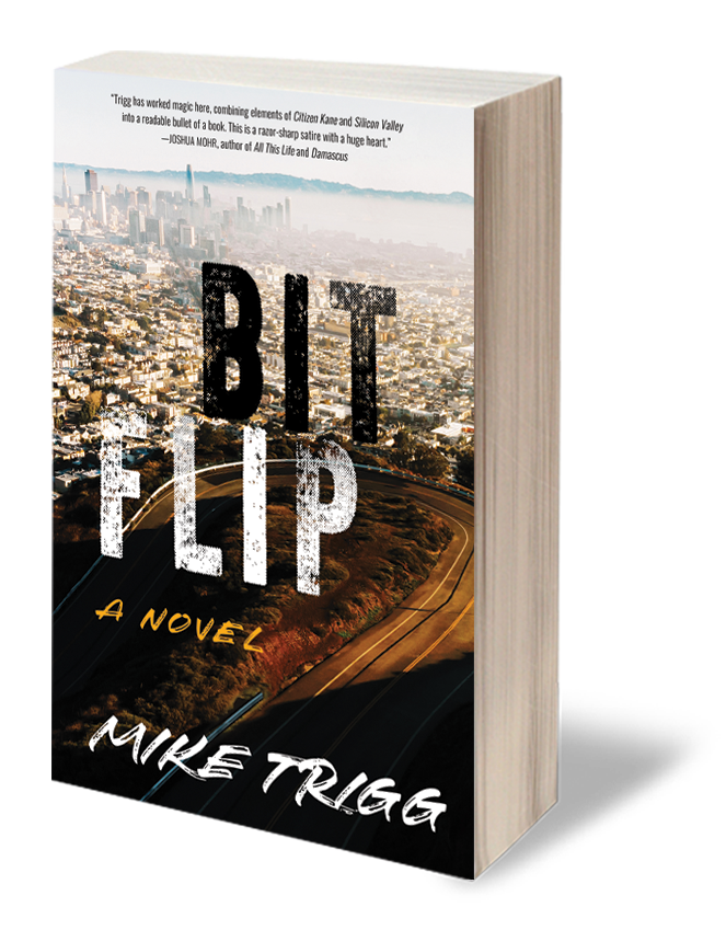 Bit Flip full book 3D_Transparent.png