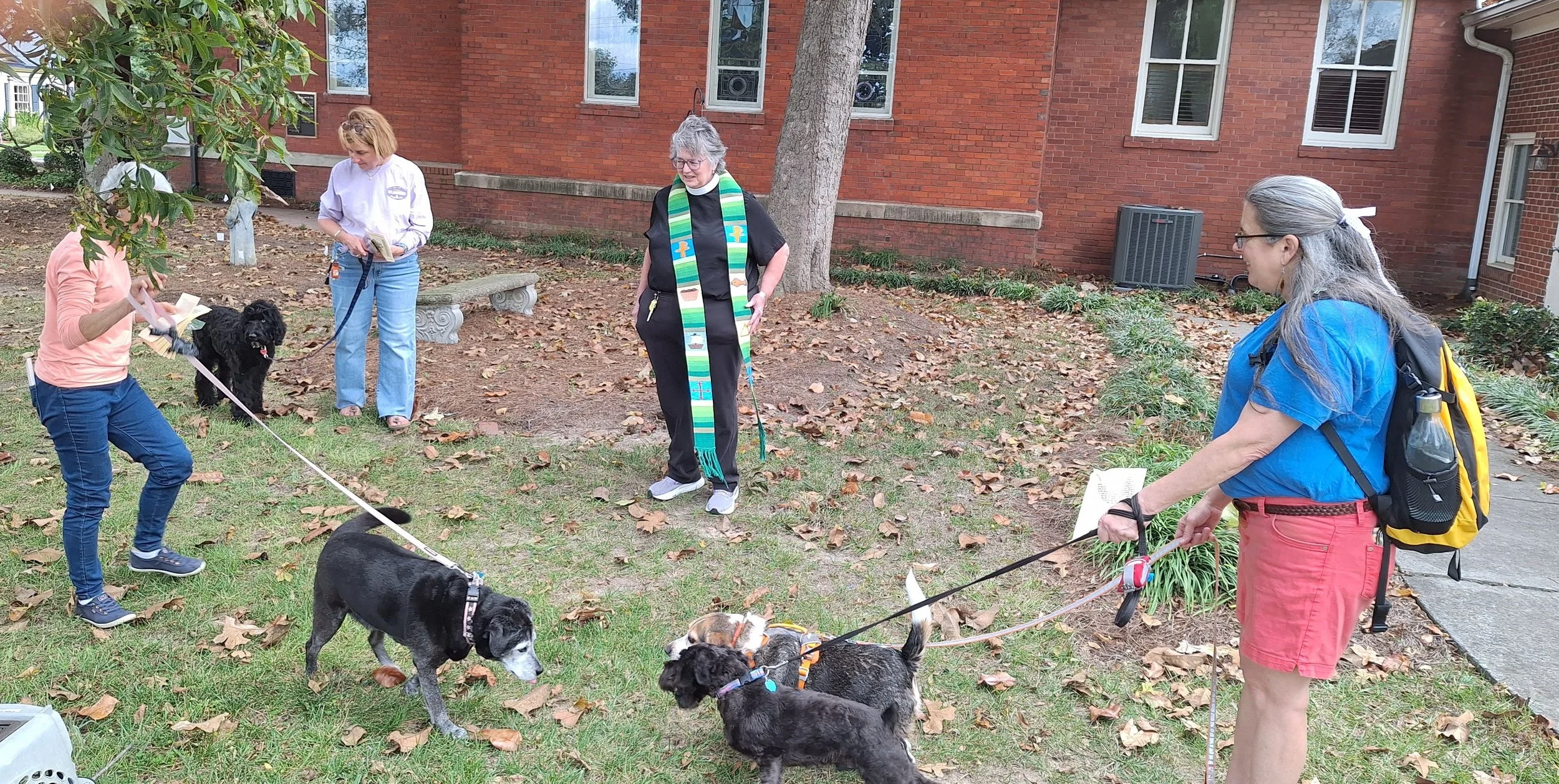 Blessing of the Animals