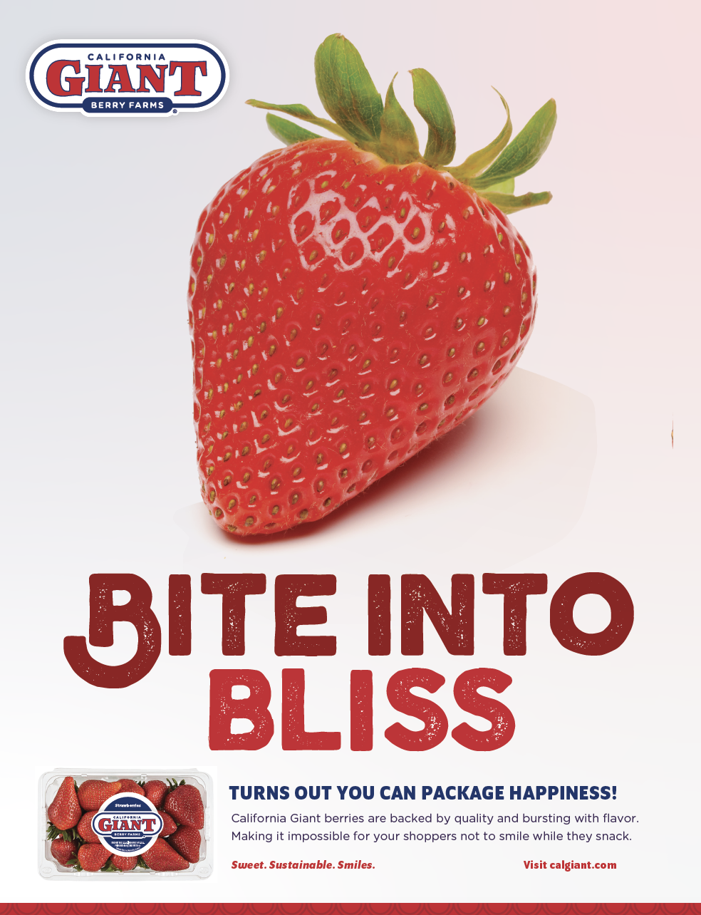 Screen Shot 2023-03-16 at 2.10.46 PM.png