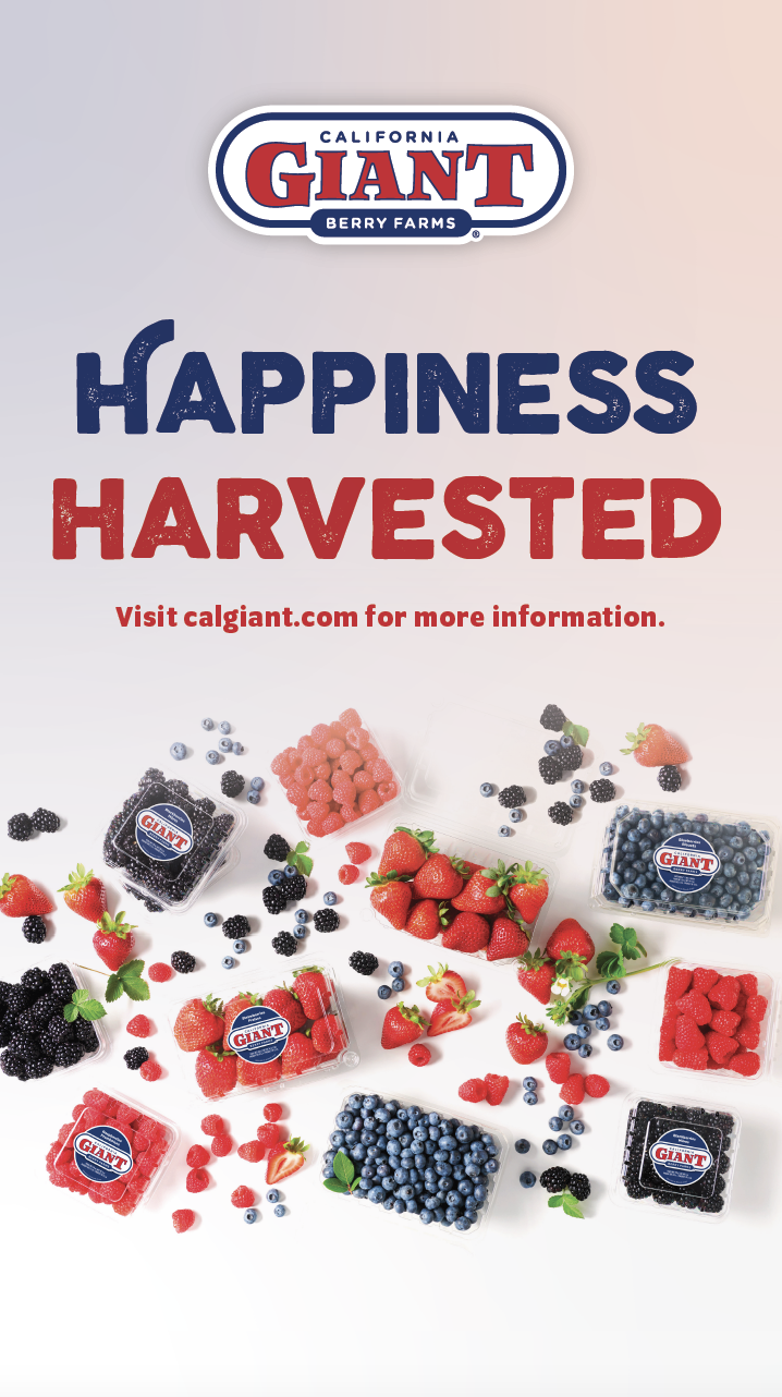 Screen Shot 2023-03-16 at 2.43.56 PM.png