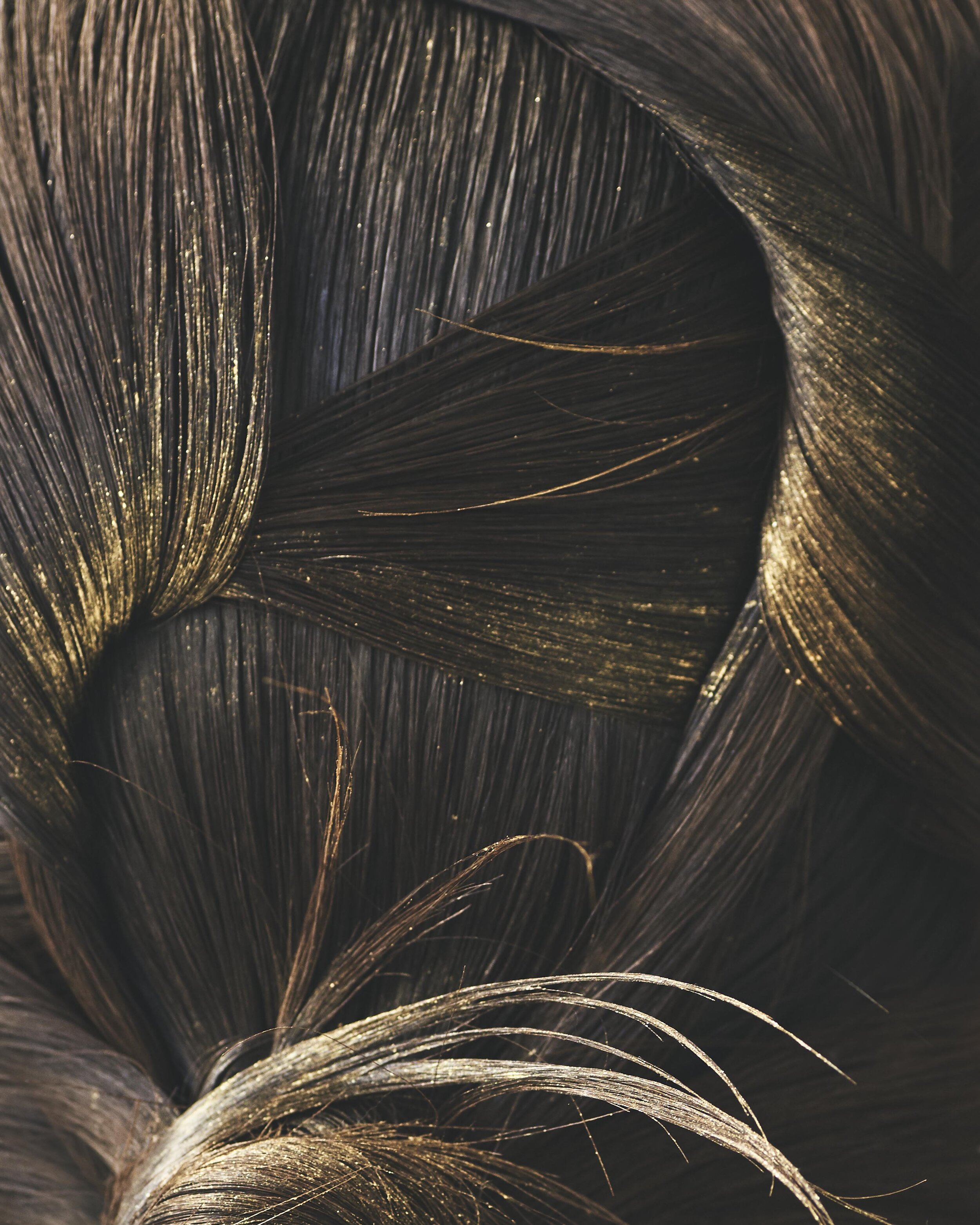 cut1_0041.jpg