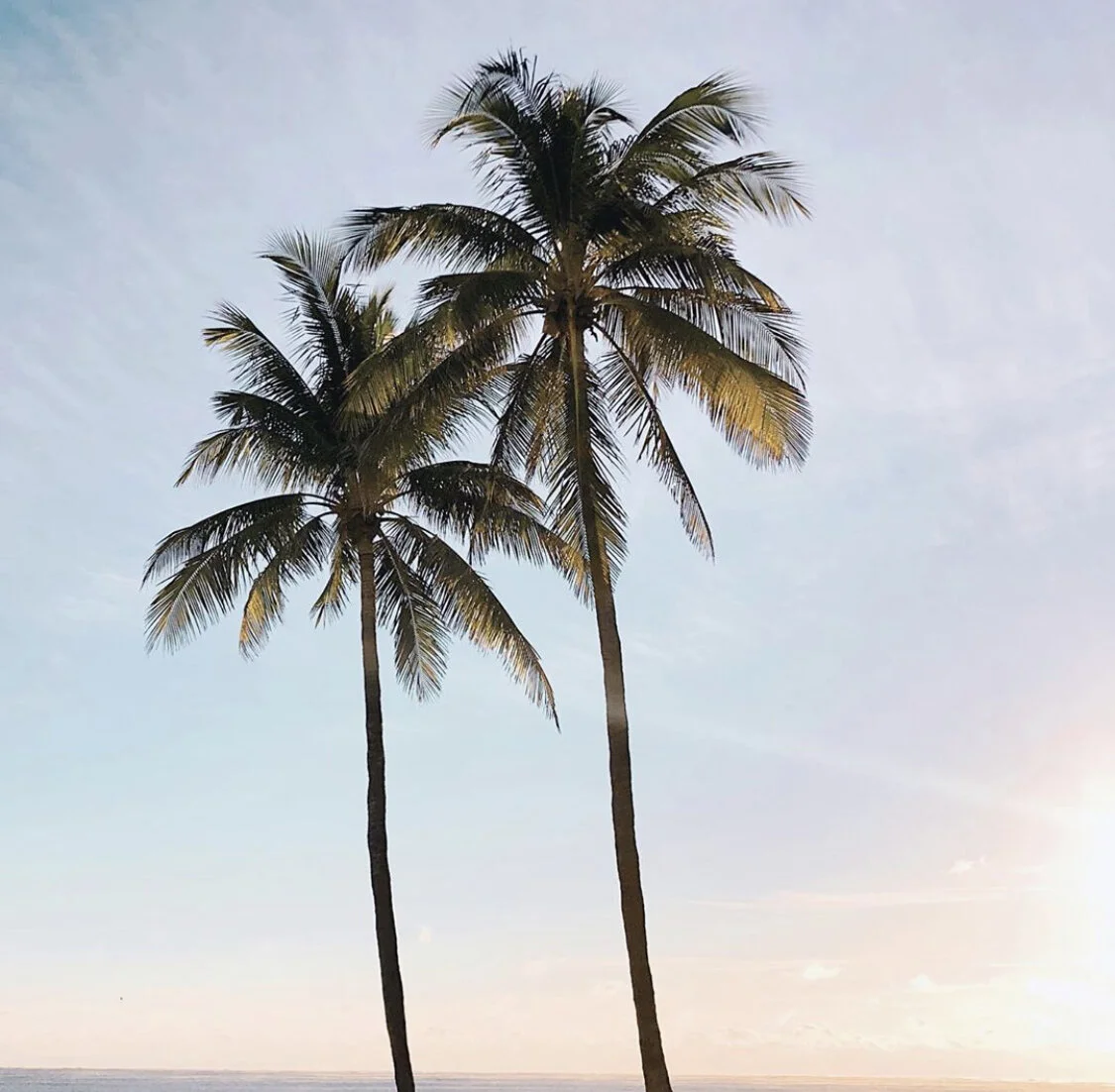 How to Style your new Haircut!! Quick and Effortless