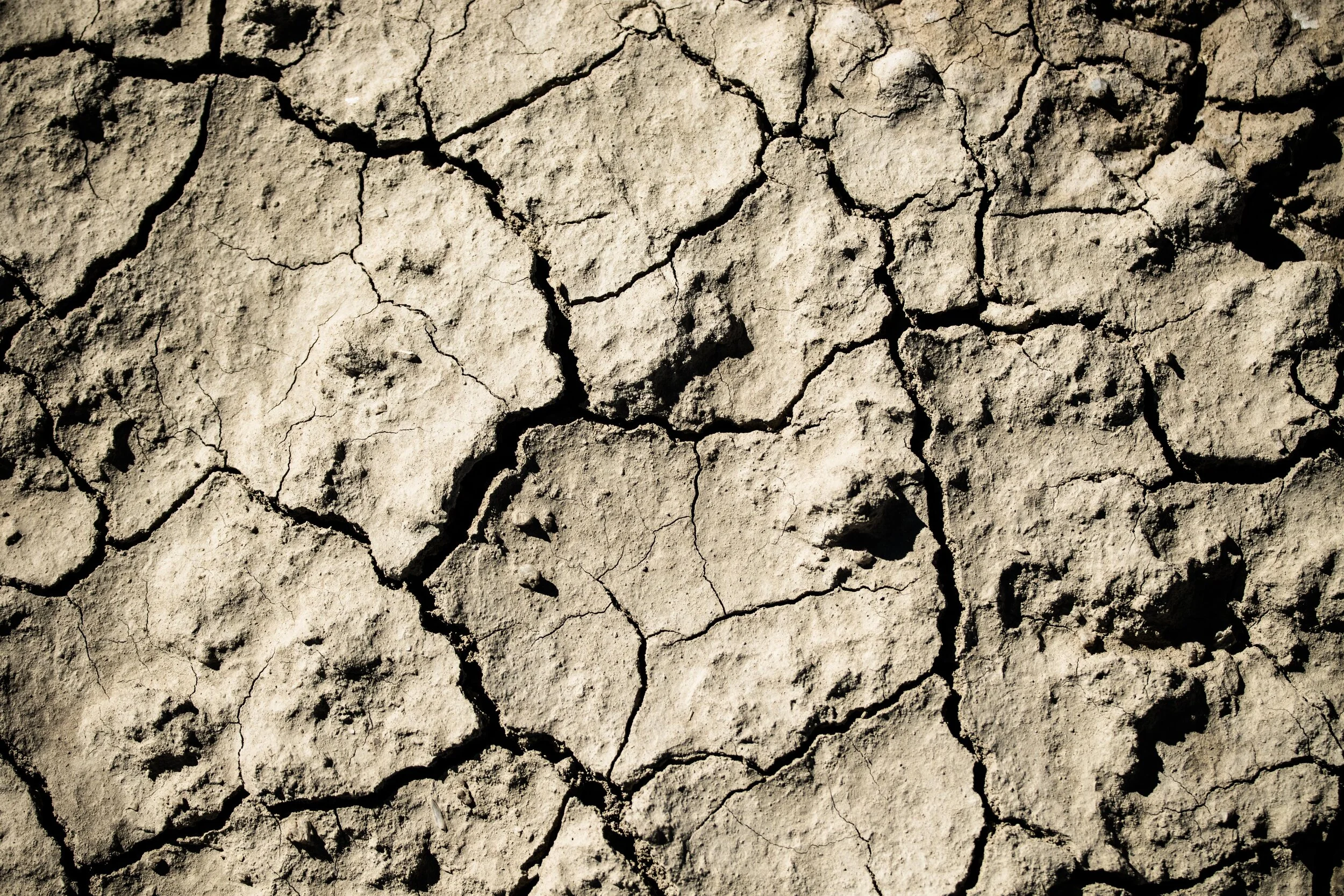  A film by Wiley Kaupas that I helped shoot.  A love letter to the stars. 