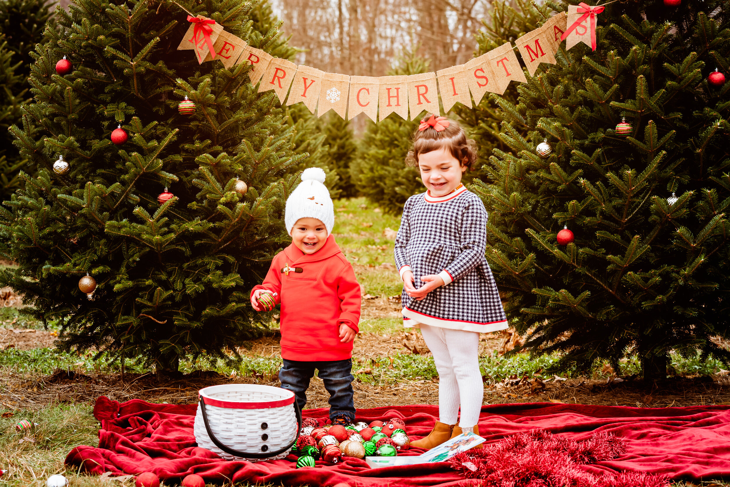 Christmas Mini Session (68 of 76).jpg