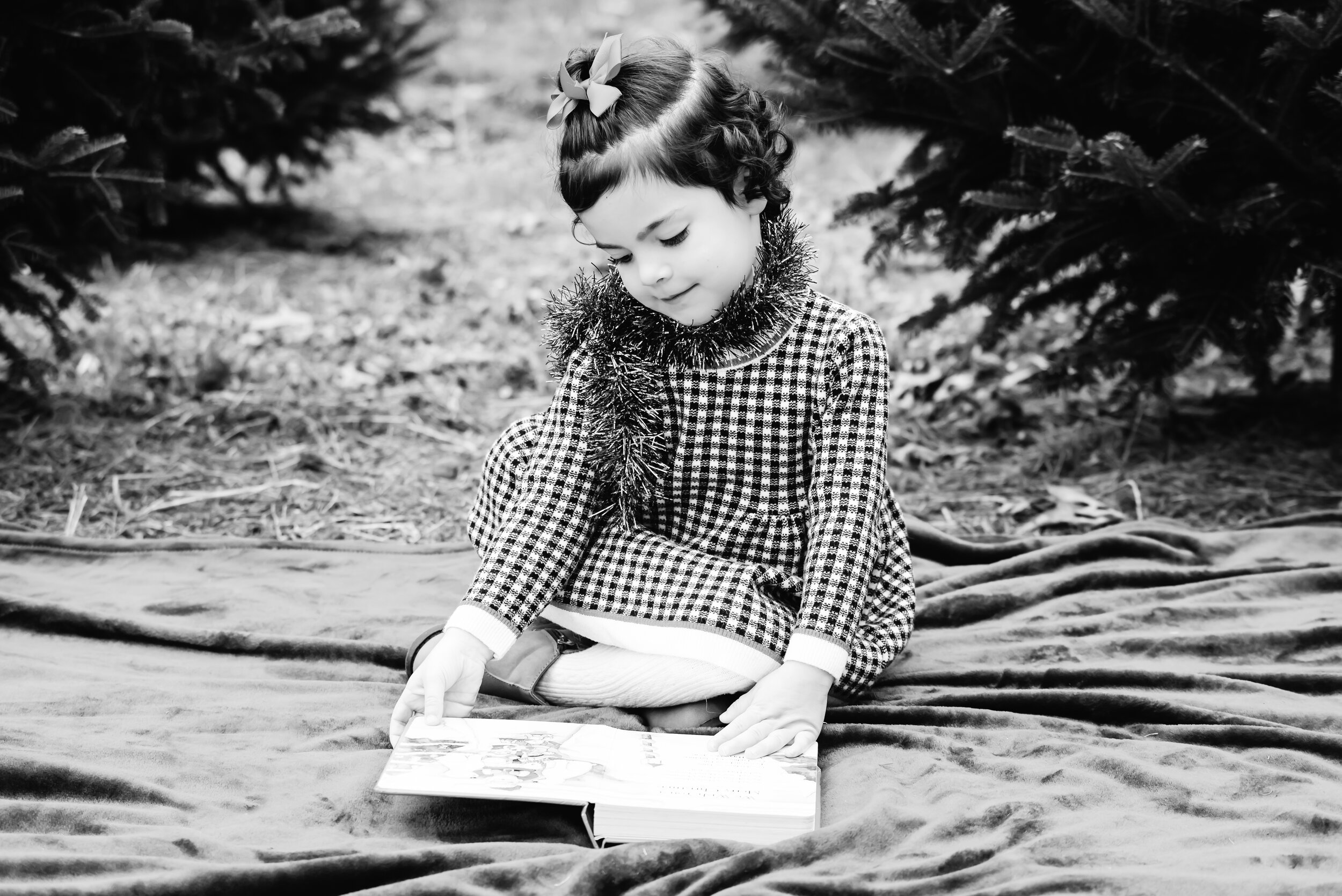  Little girl reading a Christmas Book.  Christmas Mini Session. 