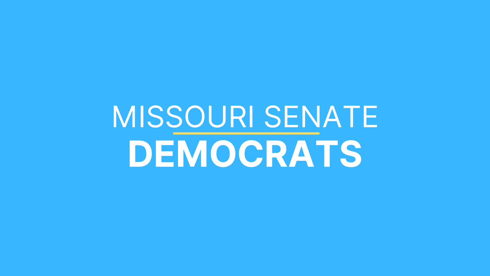 Missouri Senate Democrats Petition Training Event