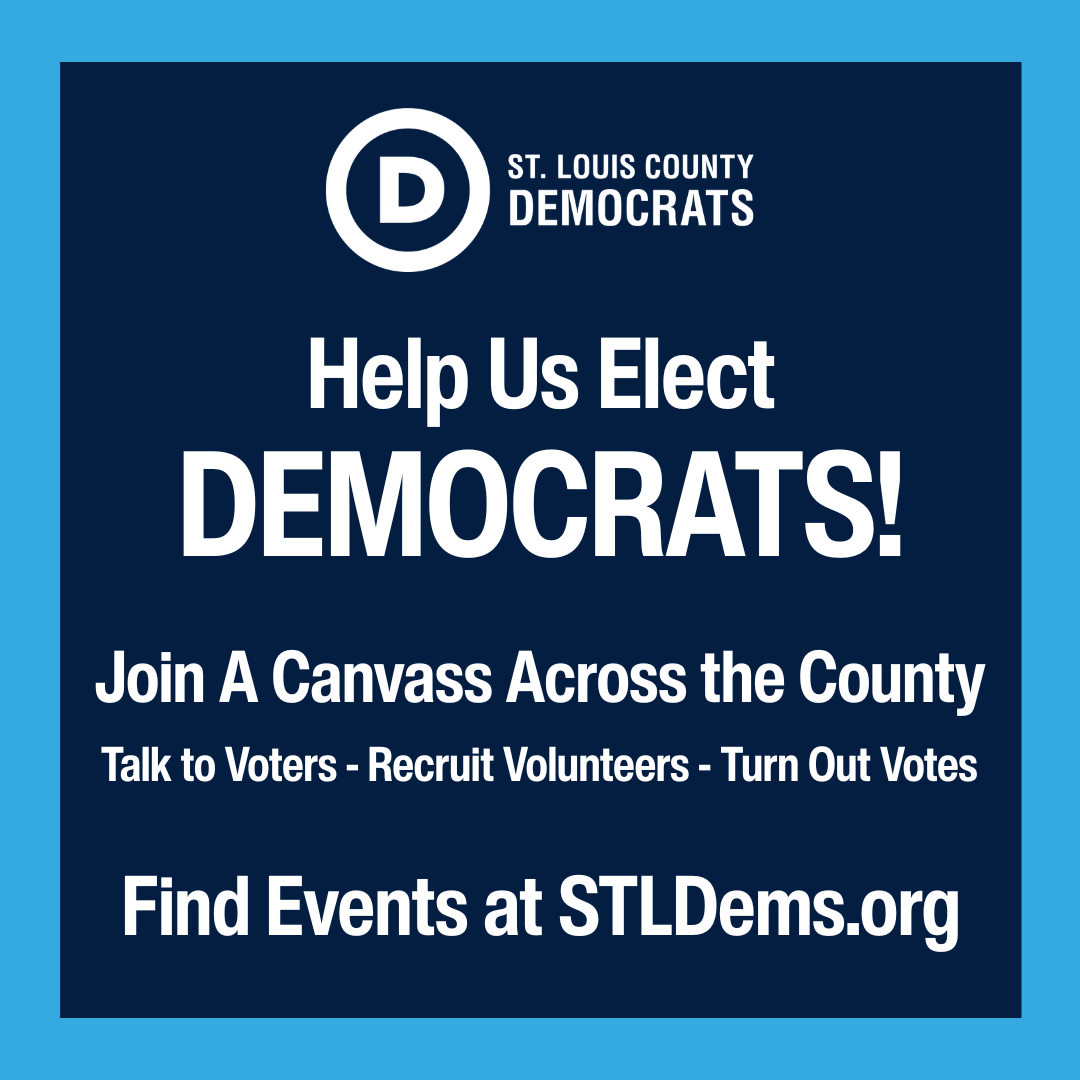 Democrats Day of Action: South County
