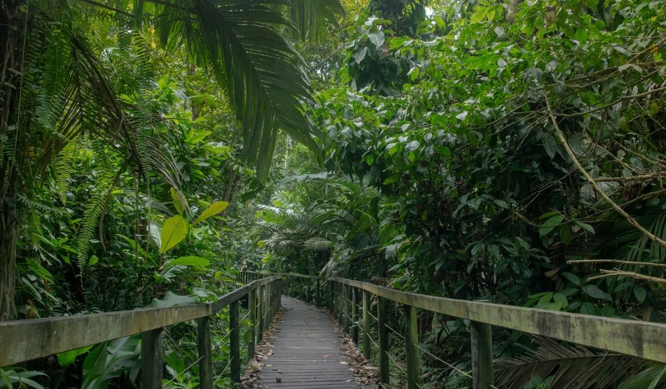 wander the tropical gardens