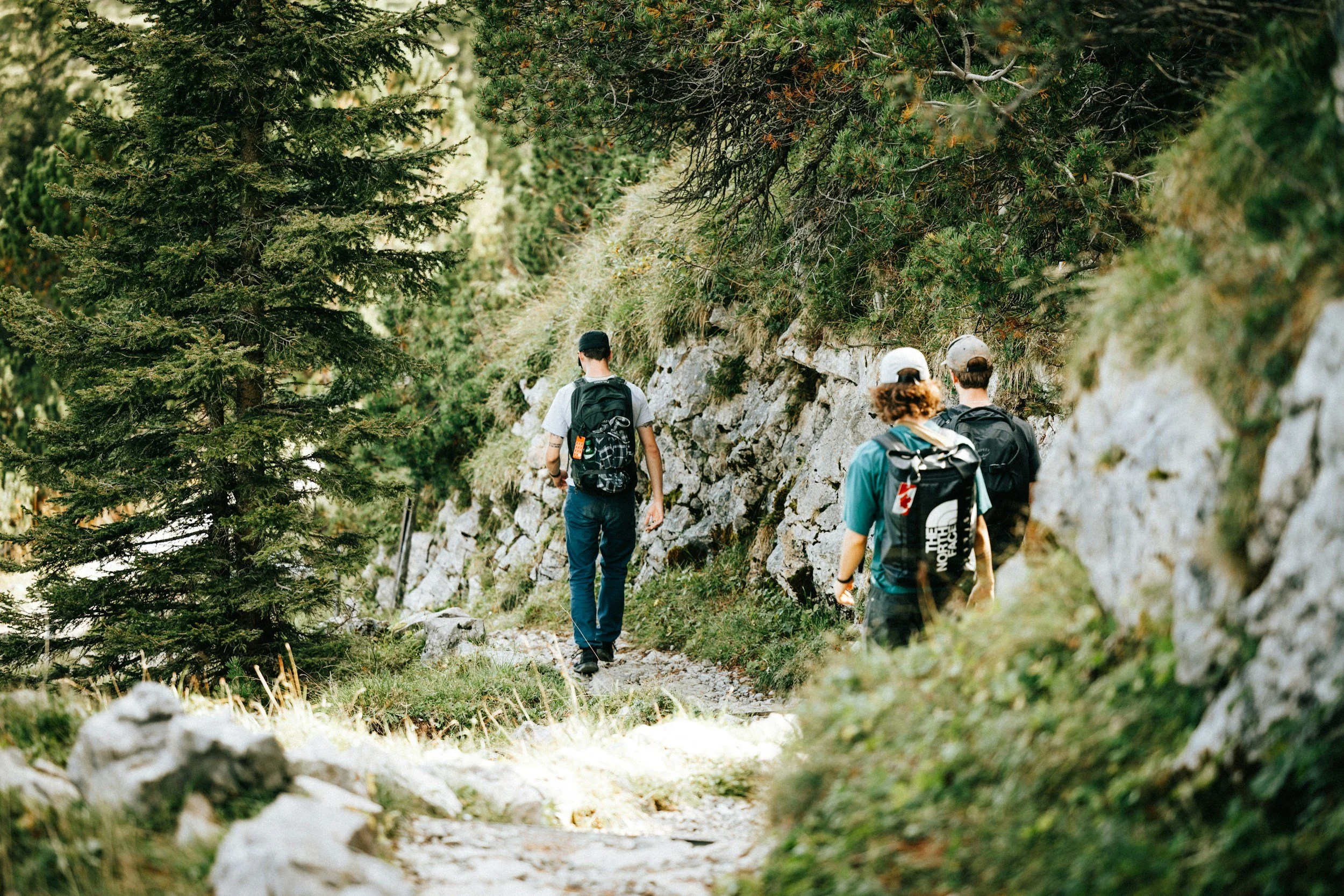 Walking Trails & Trekking for Nature Lovers