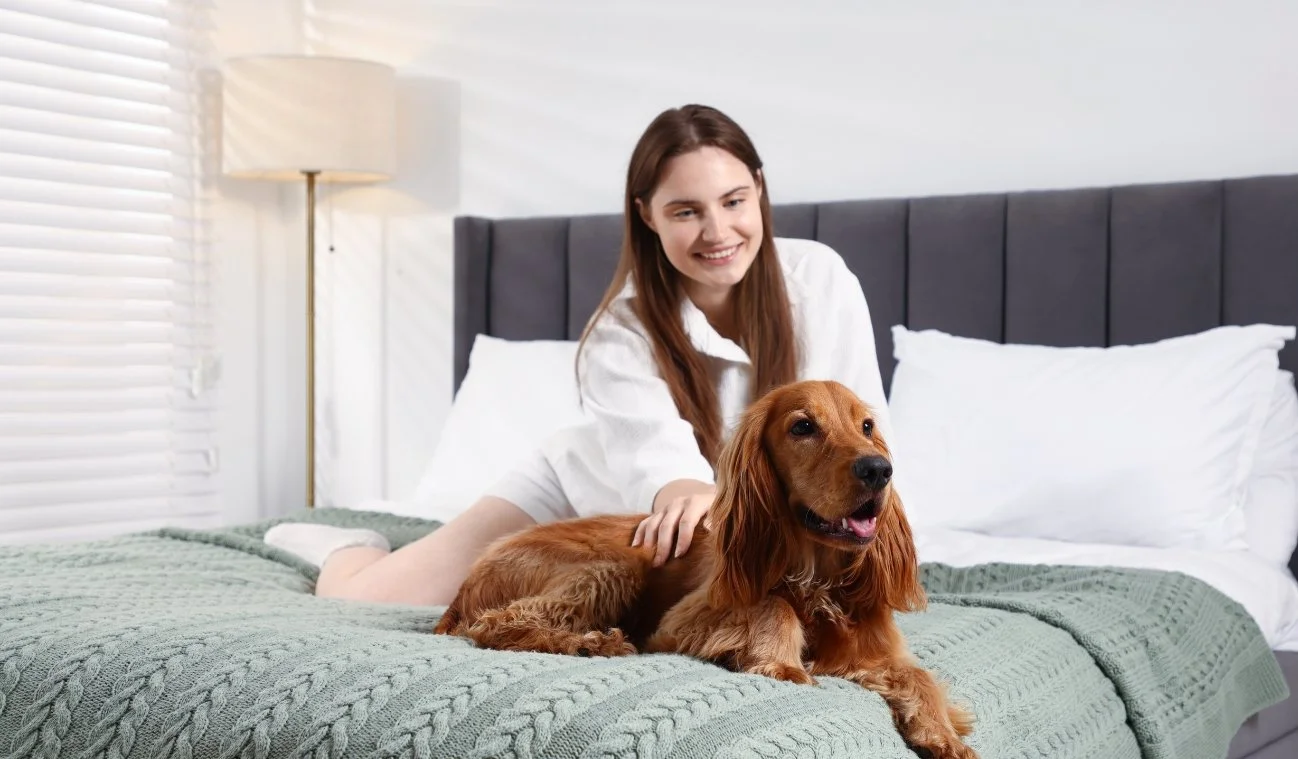 Top 7 Pet-Friendly Stays on the Sunshine Coast (2026)