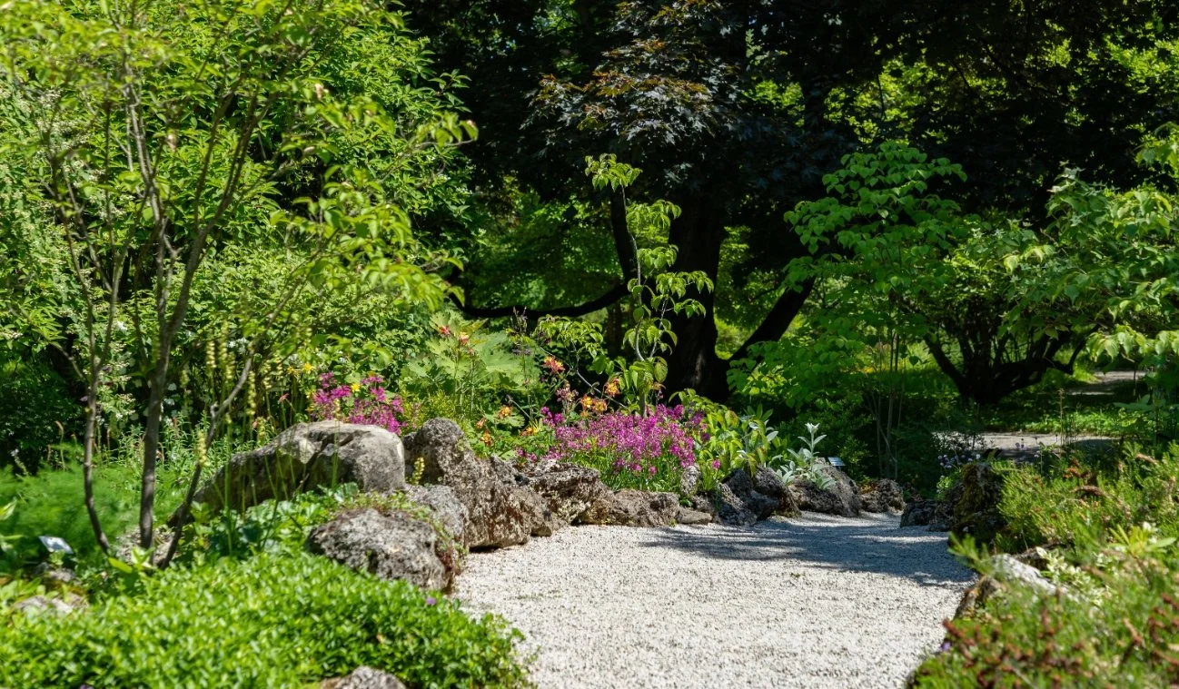 Should You Visit Australia’s Iconic Ginger Factory?