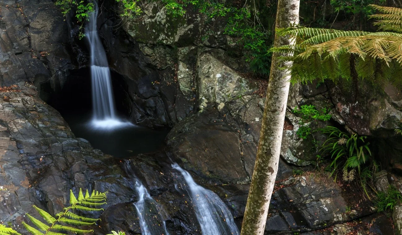 hike to a waterfall queensland nsw.jpg