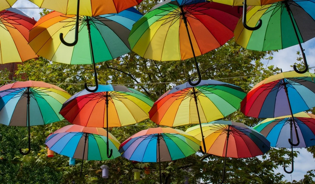 the ideal time to explore the ginger factory