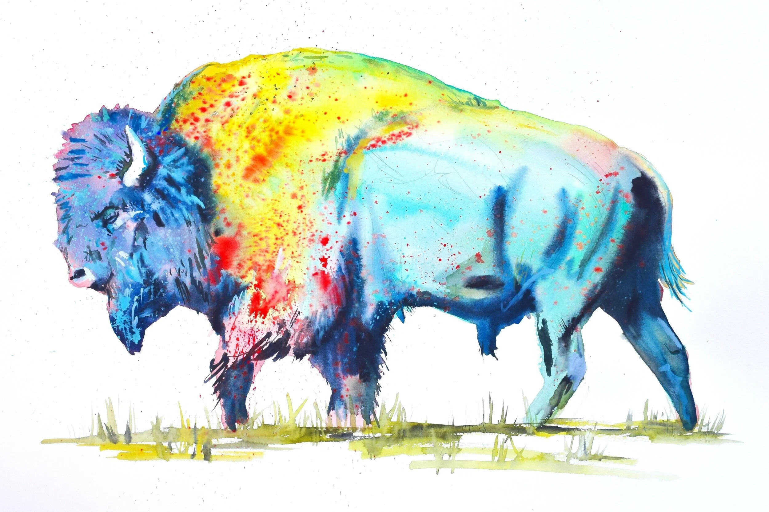 DeFrees_BlueBison16x24.jpg