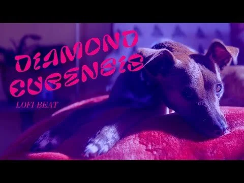 Diamond Cubensis - Lofi Beat (Copy)