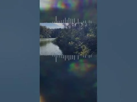 Bleeps Bloops & Boops (Copy)