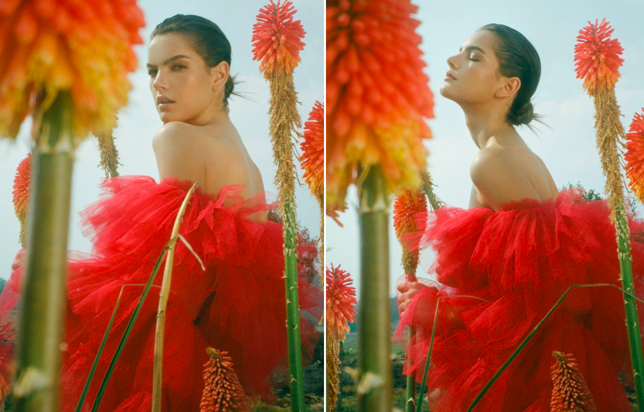 Screen Shot 2022-12-21 at 11.56.11 AM.png