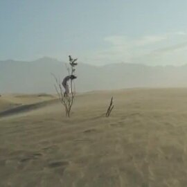 Death Valley: Dunes